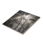 Sonnenlicht durch Bäume dunkles Wald Fliese (Seite)