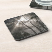 Sonnenlicht durch Bäume dunkles Wald Getränkeuntersetzer (Linke Seite)