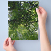 Sonnenlicht durch Bäume Flyer (Hand)