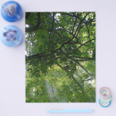 Sonnenlicht durch Bäume Flyer (Einzeln)