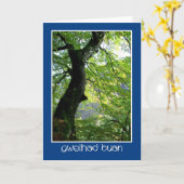 Sonnenlicht durch Blätter: Gute Karte: Walisisch Karte (Gelbe Blume)