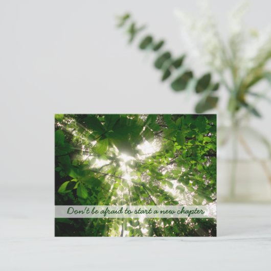 Sonnenlicht durch Blätter im Wald strömt Postkarte (Stehend Vorderseite)