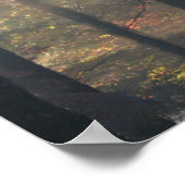 Sonnenlicht durch das Baumposter drucken Poster (Ecke)