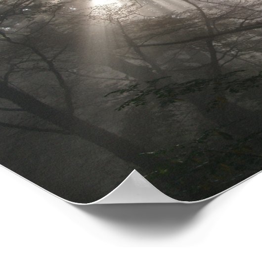 Sonnenlicht durch das Foto Bäume Poster (Ecke)