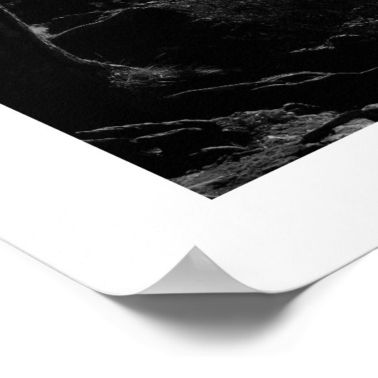 Sonnenlicht durch das Pines Poster (Ecke)