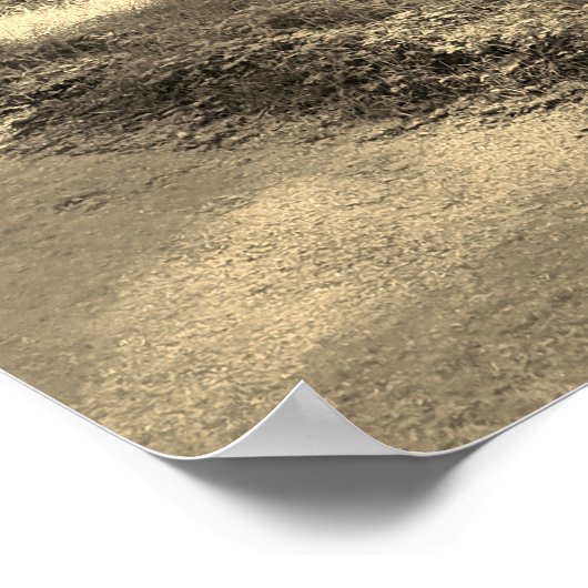 Sonnenlicht durch das Waldbaumposter Poster (Ecke)