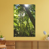 Sonnenlicht Durch Das Waldkronendach Leinwanddruck (Insitu (Wohnzimmer))