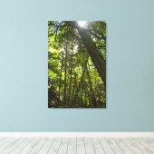 Sonnenlicht Durch Das Waldkronendach Leinwanddruck (Insitu (Holzboden))