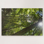 Sonnenlicht Durch Das Waldkronendach Puzzle (Horizontal)