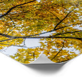 Sonnenlicht durch den Herbst Poster (Ecke)