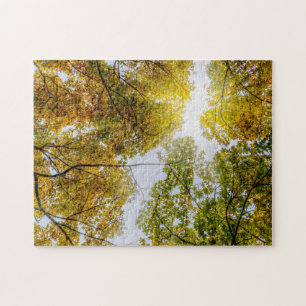 Sonnenlicht durch den Herbst Puzzle