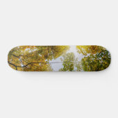 Sonnenlicht durch den Herbst Skateboard (Horizontal)