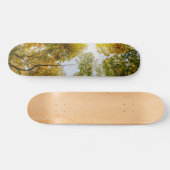 Sonnenlicht durch den Herbst Skateboard (Horizontal)