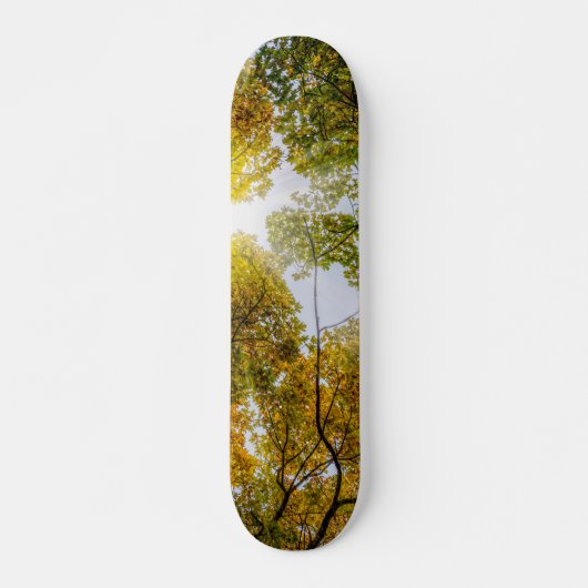 Sonnenlicht durch den Herbst Skateboard (Vorne)