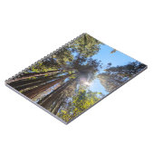 Sonnenlicht durch die Bäume Notizblock (Linke Seite)