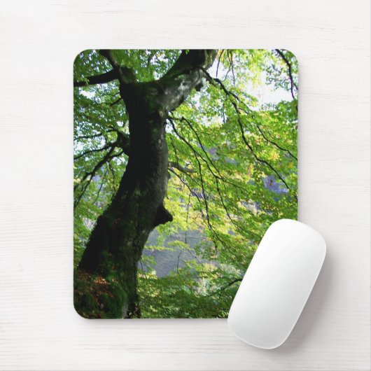 Sonnenlicht durch die Blätter Mousepad (Mit Mouse)