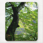 Sonnenlicht durch die Blätter Mousepad (Vorne)