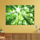 Sonnenlicht durch die Canopy Leinwanddruck (Insitu (Wohnzimmer))