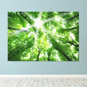 Sonnenlicht durch die Canopy Leinwanddruck (Insitu (Holzboden))