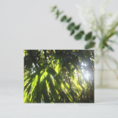 Sonnenlicht durch die Palmen Postkarte (Stehend Vorderseite)