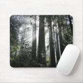 Sonnenlicht durch die Rothölzer Mousepad (Mit Mouse)