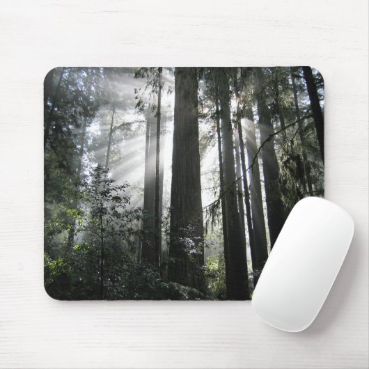 Sonnenlicht durch die Rothölzer Mousepad (Mit Mouse)