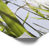 Sonnenlicht durch Gras Poster (Ecke)