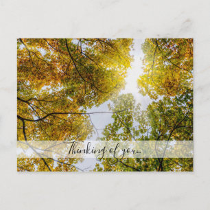 Sonnenlicht durch Herbst Zucker Ahorn Denken an U Postkarte