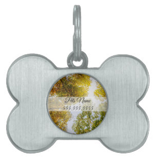 Sonnenlicht durch Herbst Zucker Ahorn Pet ID-Tag Tiermarke