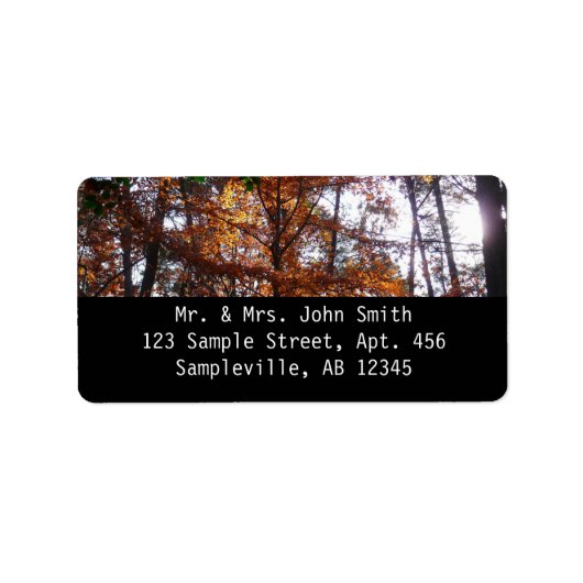 Sonnenlicht durch Herbstbaum bei Greenbelt Adressaufkleber (Vorne)