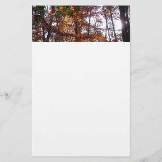 Sonnenlicht durch Herbstbaum bei Greenbelt Briefpapier (Vorderseite)