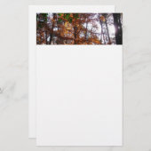 Sonnenlicht durch Herbstbaum bei Greenbelt Briefpapier (Vorne/Hinten)