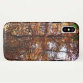Sonnenlicht durch Herbstbaum bei Greenbelt Case-Mate iPhone Hülle (Rückseite (Horizontal))