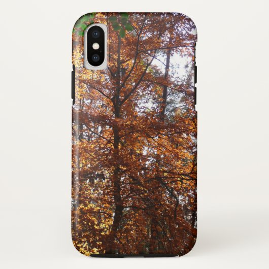 Sonnenlicht durch Herbstbaum bei Greenbelt Case-Mate iPhone Hülle (Rückseite)
