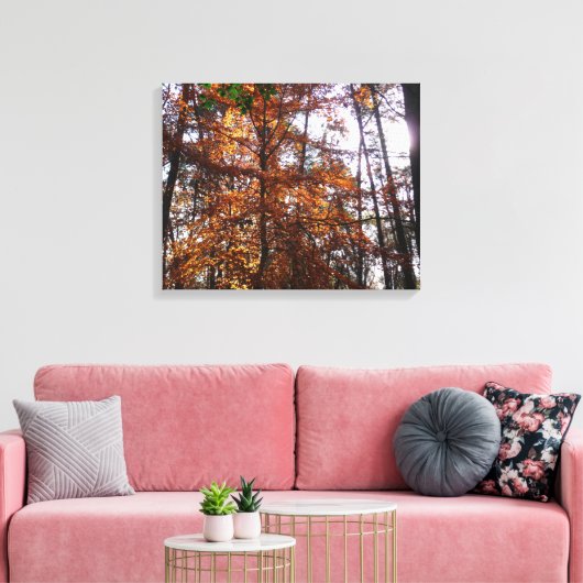 Sonnenlicht durch Herbstbaum bei Greenbelt Leinwanddruck (Insitu (Wohnzimmer))