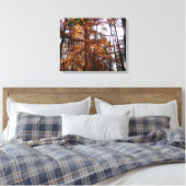 Sonnenlicht durch Herbstbaum bei Greenbelt Leinwanddruck (Insitu (Schlafzimmer))