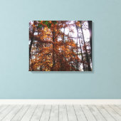 Sonnenlicht durch Herbstbaum bei Greenbelt Leinwanddruck (Insitu (Holzboden))