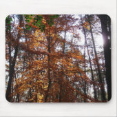 Sonnenlicht durch Herbstbaum bei Greenbelt Mousepad (Vorne)