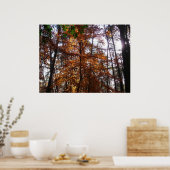 Sonnenlicht durch Herbstbaum bei Greenbelt Poster (Küche)