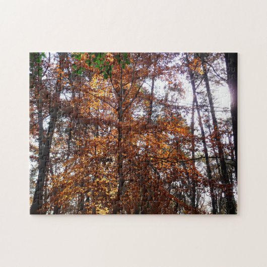 Sonnenlicht durch Herbstbaum bei Greenbelt Puzzle (Horizontal)