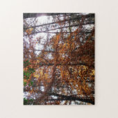 Sonnenlicht durch Herbstbaum bei Greenbelt Puzzle (Vertikal)