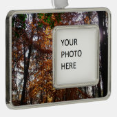Sonnenlicht durch Herbstbaum bei Greenbelt Rahmen-Ornament Silber (Rechts)