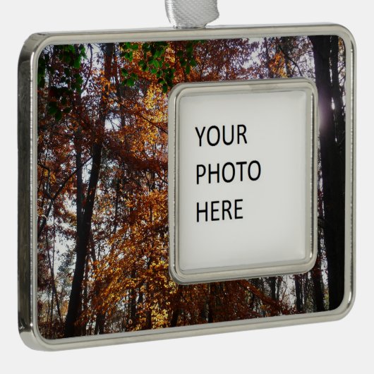 Sonnenlicht durch Herbstbaum bei Greenbelt Rahmen-Ornament Silber (Rechts)