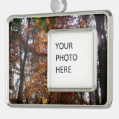 Sonnenlicht durch Herbstbaum bei Greenbelt Rahmen-Ornament Silber (Links)
