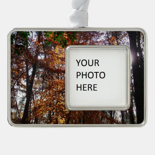 Sonnenlicht durch Herbstbaum bei Greenbelt Rahmen-Ornament Silber (Vorderseite)