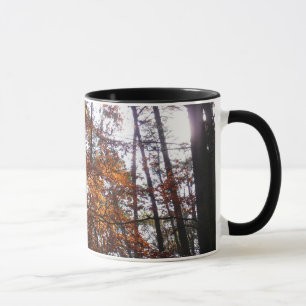Sonnenlicht durch Herbstbaum bei Greenbelt Tasse