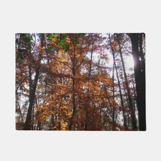 Sonnenlicht durch Herbstbaum im Greenbelt Fußmatte (Vorderseite)