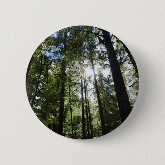 Sonnenlicht durch Kiefern Button (Vorderseite)