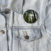 Sonnenlicht durch Kiefern Button (Beispiel)