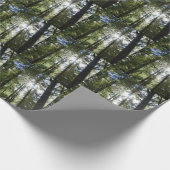 Sonnenlicht durch Kiefern Geschenkpapier (Ecke)